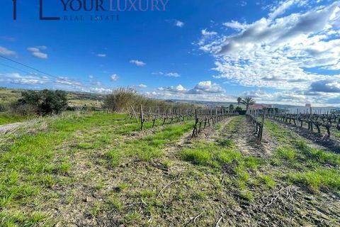 Helårsgrund i Alenquer, Lisbon, Alenquer - € 69.900 | Ref: YL989 - foto 28