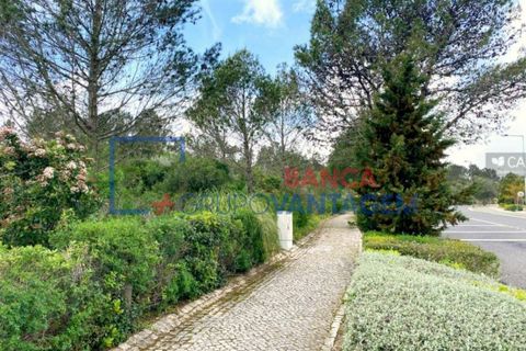Helårsgrund i Sintra, Lisbon, Sintra - € 2.900.000 | Ref: T-28593 - foto 1