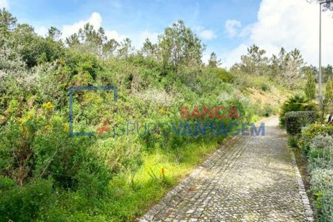 Helårsgrund i Sintra, Lisbon, Sintra - € 2.900.000 | Ref: T-28593 - foto 9