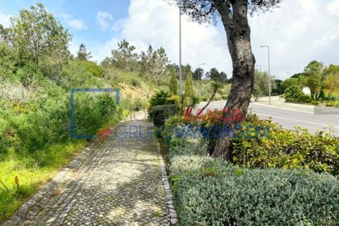Helårsgrund i Sintra, Lisbon, Sintra - € 2.900.000 | Ref: T-28593 - foto 4