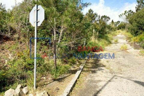Helårsgrund i Sintra, Lisbon, Sintra - € 2.900.000 | Ref: T-28593 - foto 12