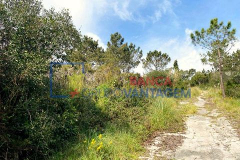 Helårsgrund i Sintra, Lisbon, Sintra - € 2.900.000 | Ref: T-28593 - foto 13