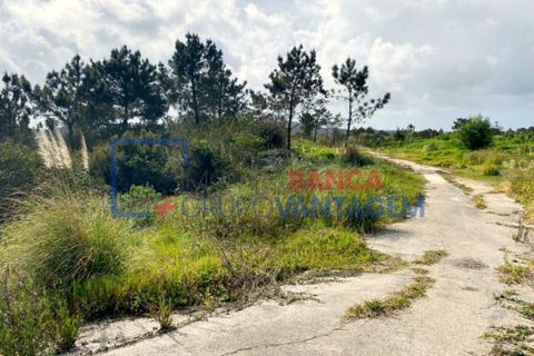 Helårsgrund i Sintra, Lisbon, Sintra - € 2.900.000 | Ref: T-28593 - foto 6