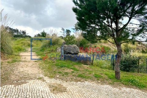 Helårsgrund i Sintra, Lisbon, Sintra - € 2.900.000 | Ref: T-28593 - foto 8