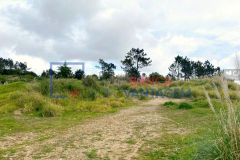 Helårsgrund i Sintra, Lisbon, Sintra - € 2.900.000 | Ref: T-28593 - foto 7