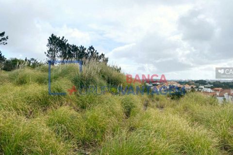 Helårsgrund i Sintra, Lisbon, Sintra - € 2.900.000 | Ref: T-28593 - foto 15