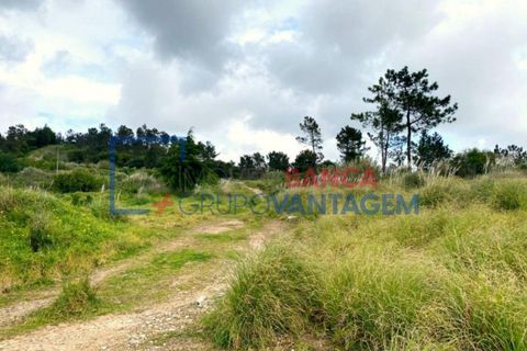 Helårsgrund i Sintra, Lisbon, Sintra - € 2.900.000 | Ref: T-28593 - foto 16