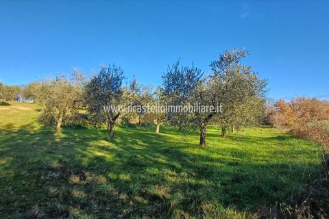 Helårsgrund i Sarteano, Siena, Sarteano - € 29.000 | Ref: TA28 - foto 1