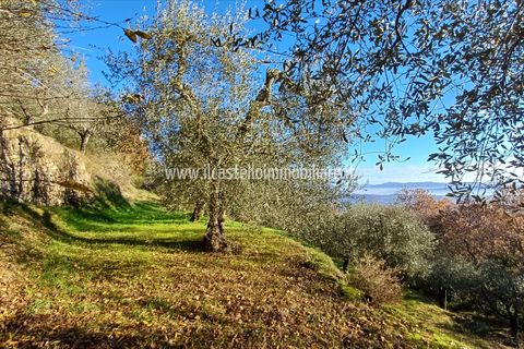 Helårsgrund i Sarteano, Siena, Sarteano - € 29.000 | Ref: TA28 - foto 2