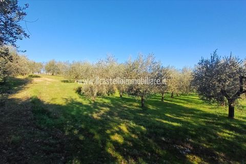Helårsgrund i Sarteano, Siena, Sarteano - € 29.000 | Ref: TA28 - foto 3