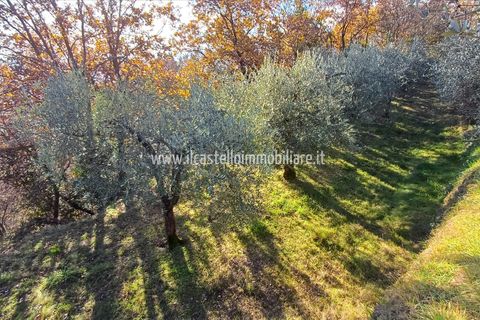 Helårsgrund i Sarteano, Siena, Sarteano - € 29.000 | Ref: TA28 - foto 4