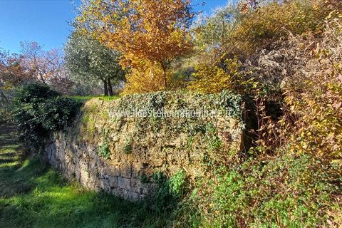 Helårsgrund i Sarteano, Siena, Sarteano - € 29.000 | Ref: TA28 - foto 5