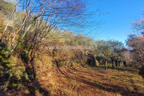 Helårsgrund i Sarteano, Siena, Sarteano - € 29.000 | Ref: TA28 - foto 6