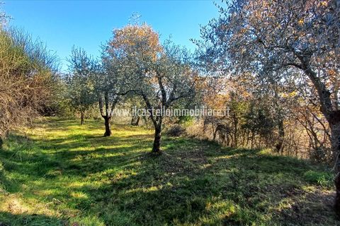 Helårsgrund i Sarteano, Siena, Sarteano - € 29.000 | Ref: TA28 - foto 7