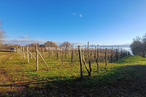 Helårsgrund i Sarteano, Siena, Sarteano - € 29.000 | Ref: TA28 - foto 8