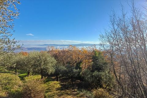 Helårsgrund i Sarteano, Siena, Sarteano - € 29.000 | Ref: TA28 - foto 9