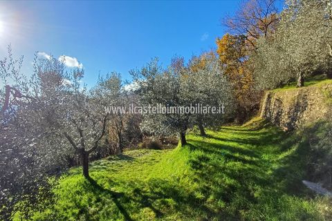 Helårsgrund i Sarteano, Siena, Sarteano - € 29.000 | Ref: TA28 - foto 10