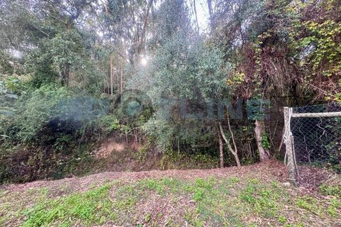 Farm i Bucelas, Lisbon, Bucelas - € 1.580.000 | Ref: SL AG 20/2025 - foto 6