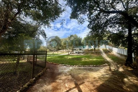 Farm i Bucelas, Lisbon, Bucelas - € 1.580.000 | Ref: SL AG 20/2025 - foto 9