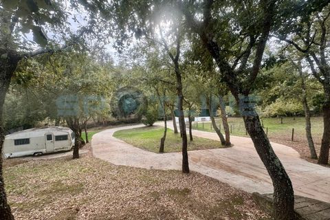 Farm i Bucelas, Lisbon, Bucelas - € 1.580.000 | Ref: SL AG 20/2025 - foto 12