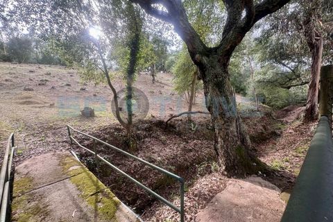 Farm i Bucelas, Lisbon, Bucelas - € 1.580.000 | Ref: SL AG 20/2025 - foto 13