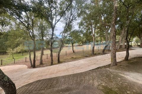 Farm i Bucelas, Lisbon, Bucelas - € 1.580.000 | Ref: SL AG 20/2025 - foto 26