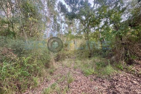 Farm i Bucelas, Lisbon, Bucelas - € 1.580.000 | Ref: SL AG 20/2025 - foto 27