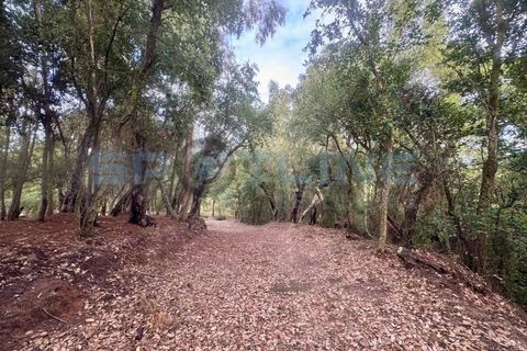 Farm i Bucelas, Lisbon, Bucelas - € 1.580.000 | Ref: SL AG 20/2025 - foto 28