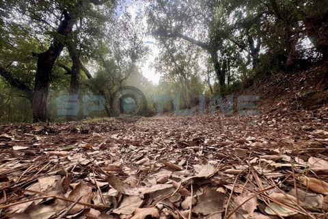 Farm i Bucelas, Lisbon, Bucelas - € 1.580.000 | Ref: SL AG 20/2025 - foto 33