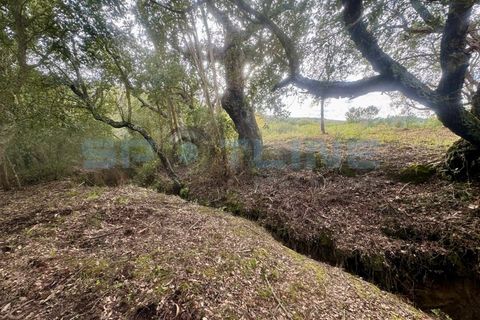Farm i Bucelas, Lisbon, Bucelas - € 1.580.000 | Ref: SL AG 20/2025 - foto 35