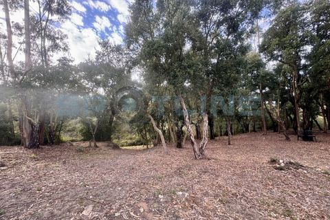 Farm i Bucelas, Lisbon, Bucelas - € 1.580.000 | Ref: SL AG 20/2025 - foto 39