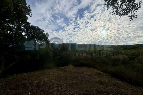 Farm i Bucelas, Lisbon, Bucelas - € 1.580.000 | Ref: SL AG 20/2025 - foto 40