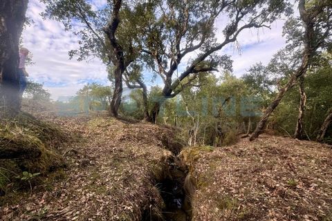 Farm i Bucelas, Lisbon, Bucelas - € 1.580.000 | Ref: SL AG 20/2025 - foto 42
