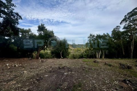 Farm i Bucelas, Lisbon, Bucelas - € 1.580.000 | Ref: SL AG 20/2025 - foto 43