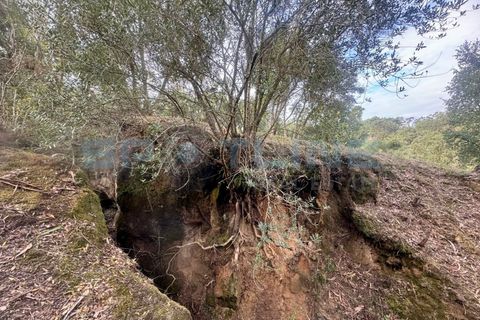Farm i Bucelas, Lisbon, Bucelas - € 1.580.000 | Ref: SL AG 20/2025 - foto 44