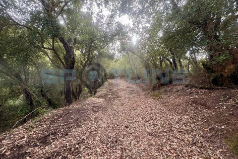 Farm i Bucelas, Lisbon, Bucelas - € 1.580.000 | Ref: SL AG 20/2025 - foto 46