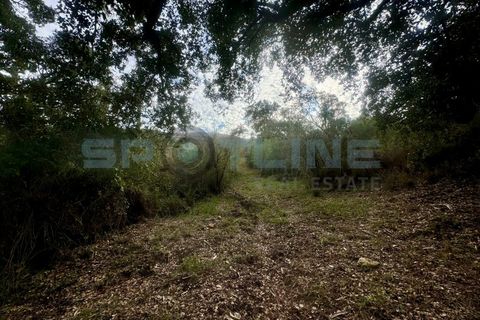 Farm i Bucelas, Lisbon, Bucelas - € 1.580.000 | Ref: SL AG 20/2025 - foto 47