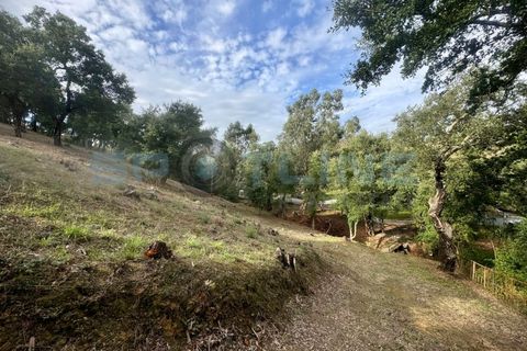 Farm i Bucelas, Lisbon, Bucelas - € 1.580.000 | Ref: SL AG 20/2025 - foto 50