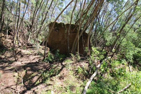 Terra a Marmelete, Faro, Marmelete - € 180.000 | Ref: TW268 - foto 5