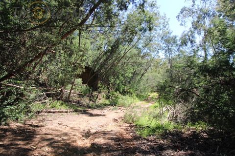 Terra a Marmelete, Faro, Marmelete - € 180.000 | Ref: TW268 - foto 6