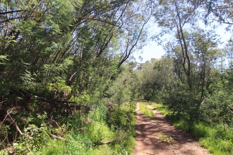 Terra a Marmelete, Faro, Marmelete - € 180.000 | Ref: TW268 - foto 7