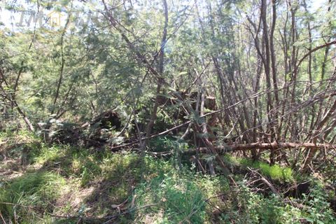 Terra a Marmelete, Faro, Marmelete - € 180.000 | Ref: TW268 - foto 10
