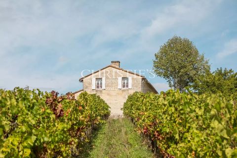 Villa a Cambes, Gironde, Cambes - € 1.500.000 | Ref: XR1082 - foto 20