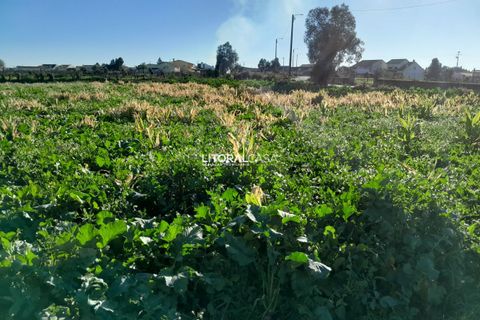 Helårsgrund i Aveiro, Aveiro, Aveiro - € 99.500 | Ref: VEN-3985 - foto 2