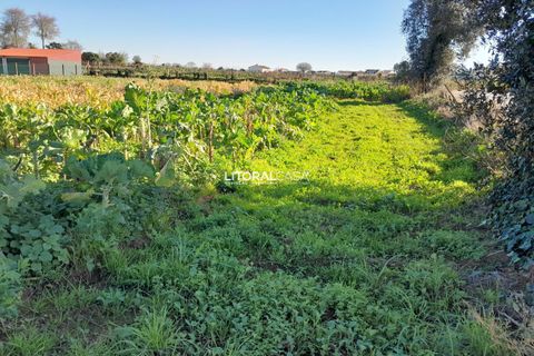 Helårsgrund i Aveiro, Aveiro, Aveiro - € 99.500 | Ref: VEN-3985 - foto 3