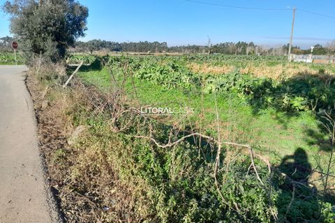 Helårsgrund i Aveiro, Aveiro, Aveiro - € 99.500 | Ref: VEN-3985 - foto 4