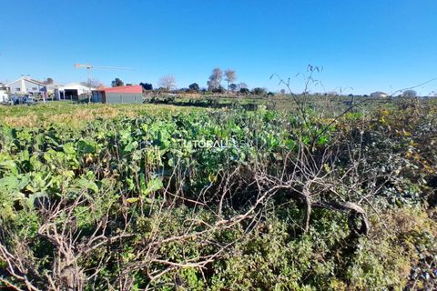 Helårsgrund i Aveiro, Aveiro, Aveiro - € 99.500 | Ref: VEN-3985 - foto 6