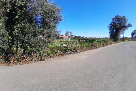 Helårsgrund i Aveiro, Aveiro, Aveiro - € 99.500 | Ref: VEN-3985 - foto 10