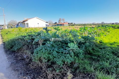 Helårsgrund i Aveiro, Aveiro, Aveiro - € 99.500 | Ref: VEN-3985 - foto 11