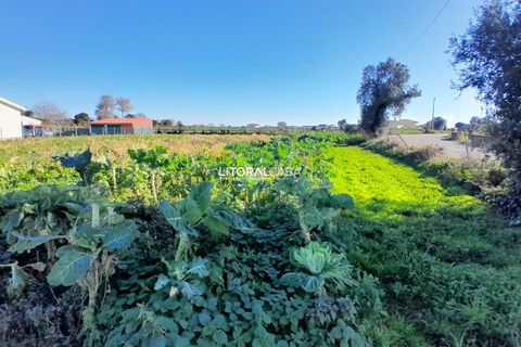 Helårsgrund i Aveiro, Aveiro, Aveiro - € 99.500 | Ref: VEN-3985 - foto 12